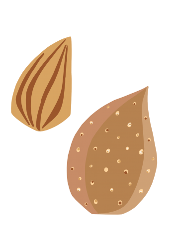 JB Nut Almond