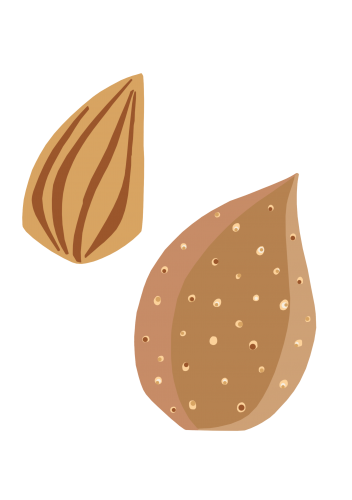 JB Nut Almond JB Nut Almond